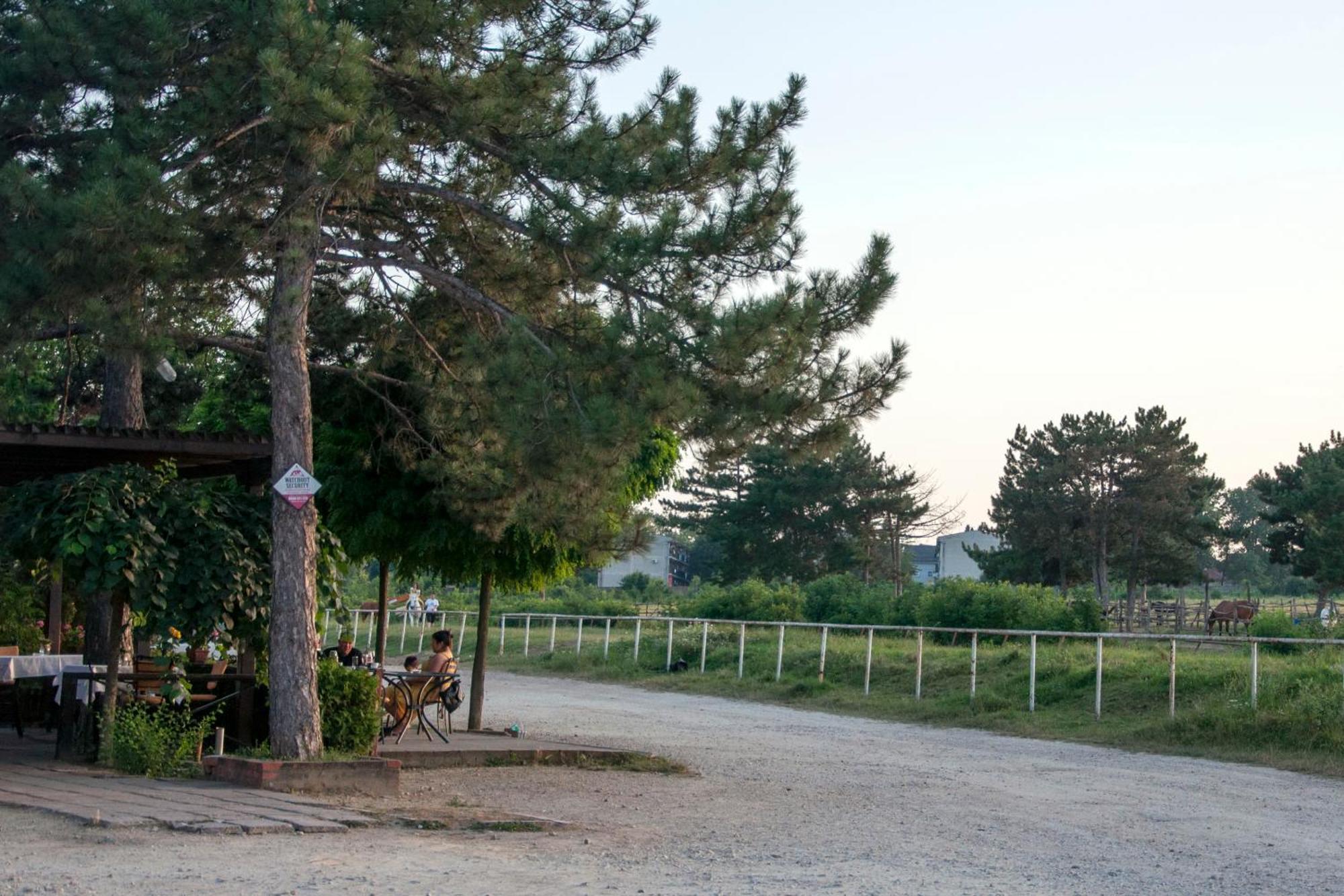 Апартамент Erdoglija *